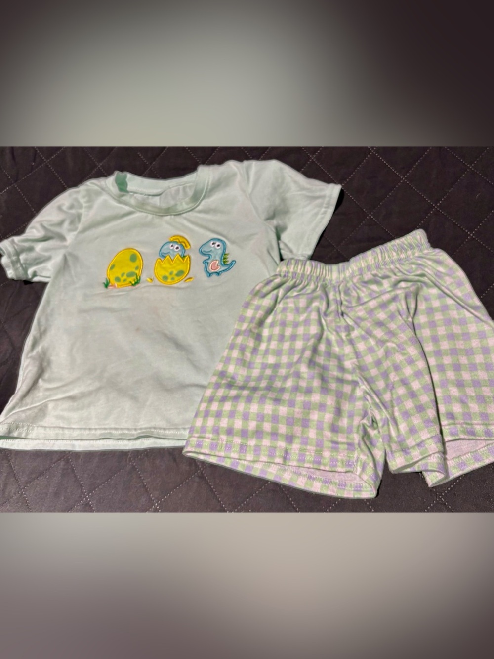 Honey Bean dinosaur print short sleeve t-shirt and plaid shorts clothing set.